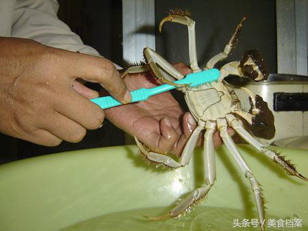 大闸蟹怎么洗才干净（清洗大闸蟹的技巧和方法）