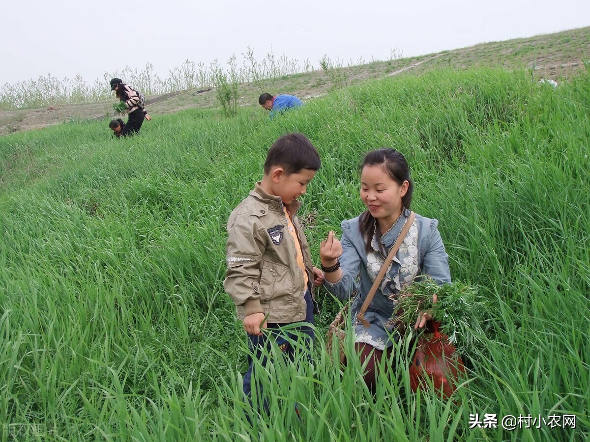 乡镇做什么生意好做又赚钱（22个适合乡镇做的生意)