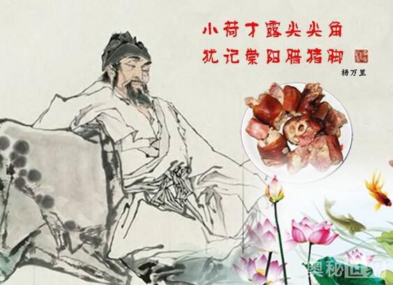 杨万里是哪个朝代的（杨万里的简介及作品赏析）