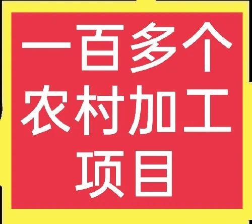 农村办的小型加工厂(农村小型加工办厂项目有哪些)