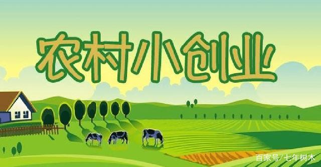 农村创业做什么适合（来自农村创业者的创业故事）