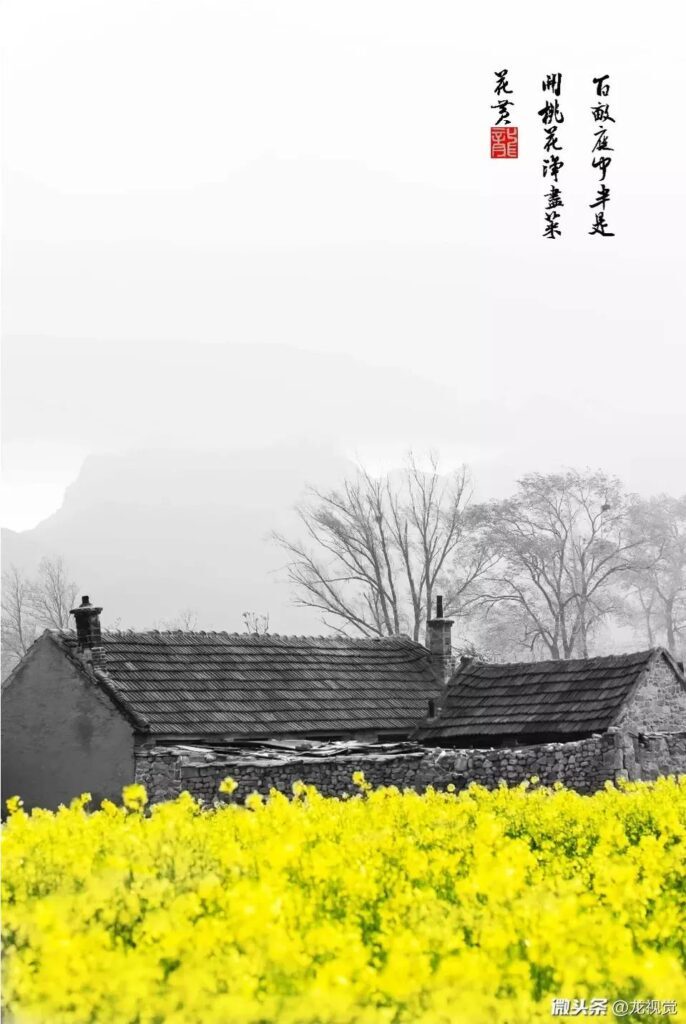 古诗望洞庭的原文(望洞庭注释)