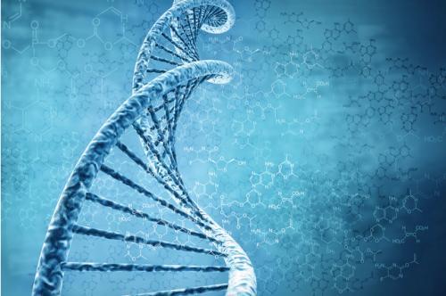 什么叫生物_生物的基本概况