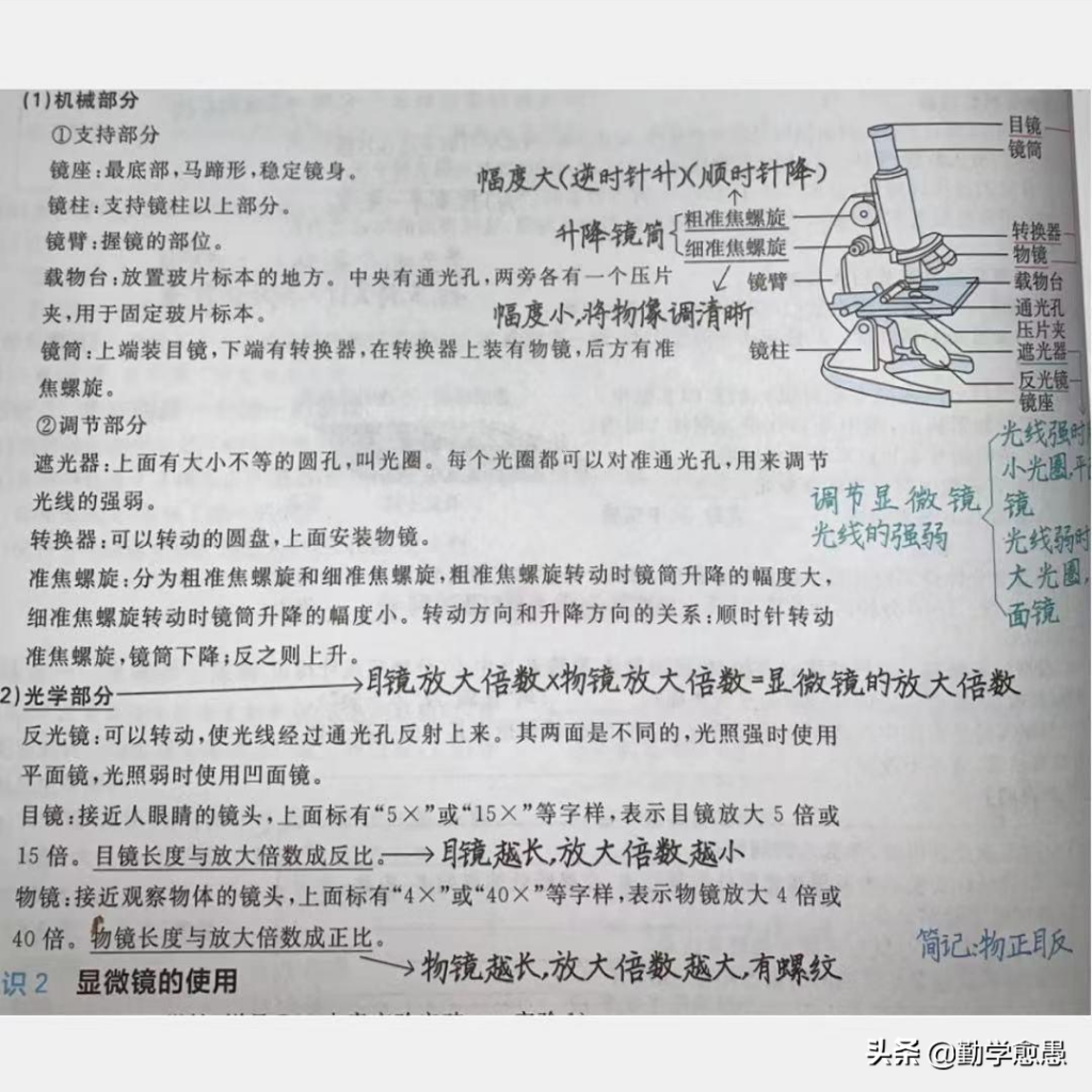 显微镜怎么使用_显微镜的使用方法