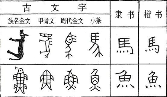 汉字怎么来的_汉字的起源和演变