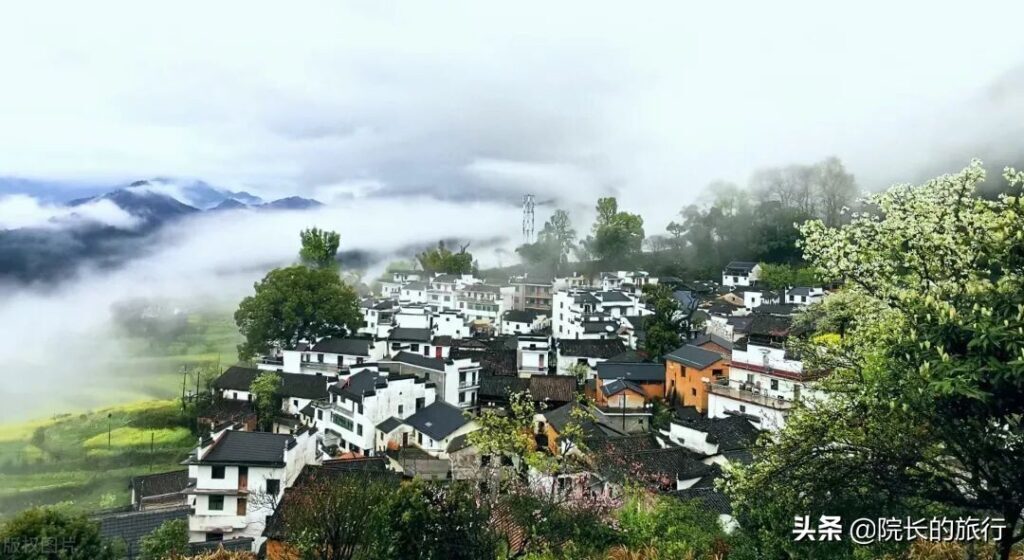 江西婺源几月份去看油菜花最好_观看油菜花的最佳时间