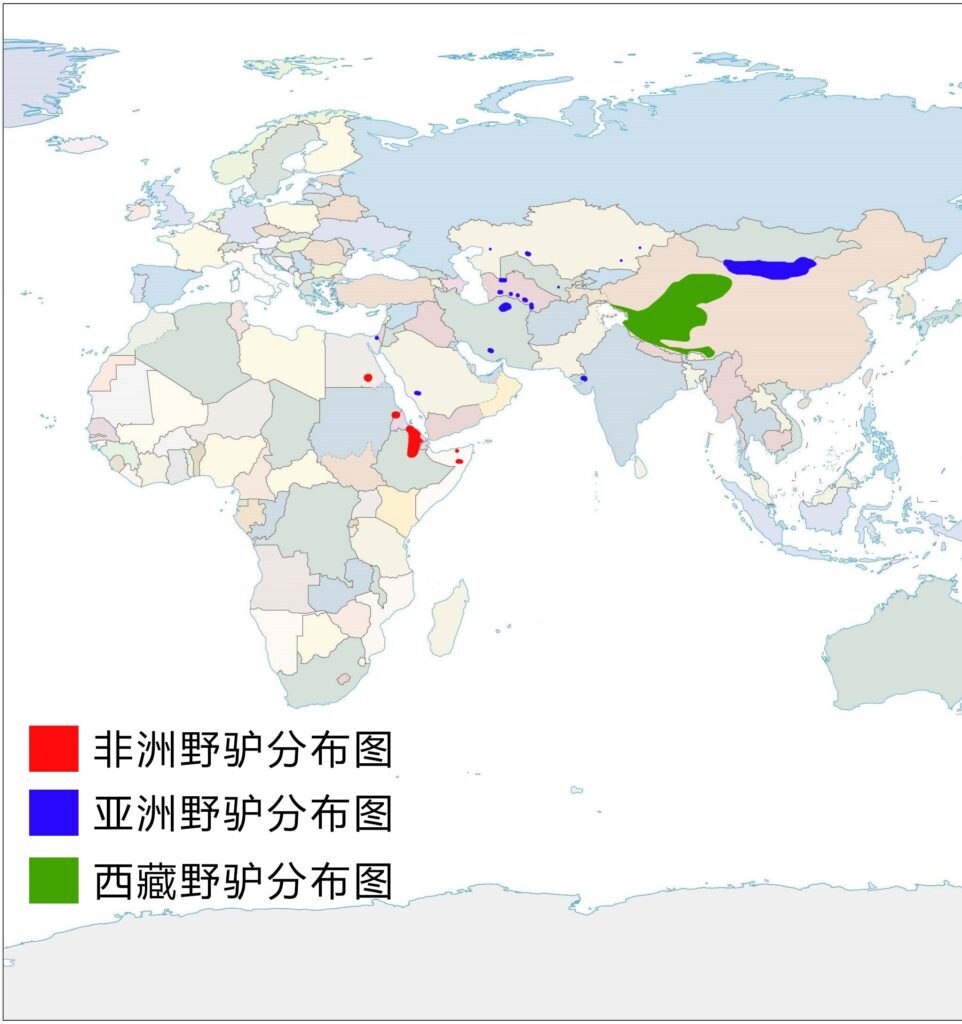 如何区分骡子和马_骡子和马的区别