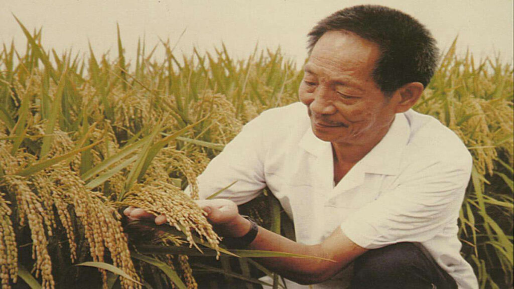如何区分骡子和马_骡子和马的区别