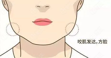 如何瘦咬肌_瘦咬肌的秘诀和目的