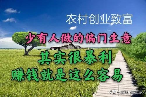 求偏门赚钱路子(偏门赚钱门路)
