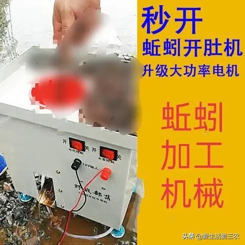 求偏门赚钱路子(偏门赚钱门路)
