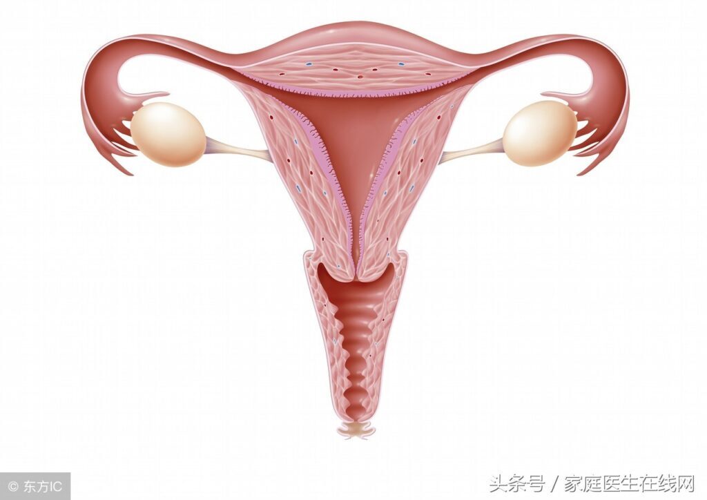 卵巢早衰的现象有哪些_卵巢早衰的基本现象