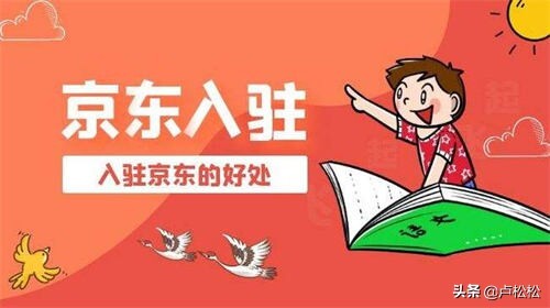 入驻京东的条件(京东入驻条件最新)