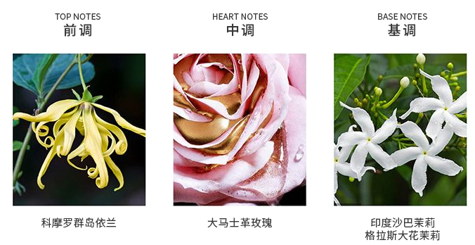 迪奥真我纯香香水图片(dior的真我香水价格)