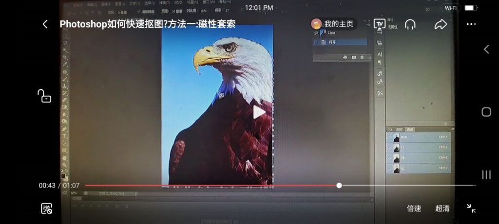 使用磁性套索工具怎么抠图(怎样用磁性套索工具抠图并放入另一张图)