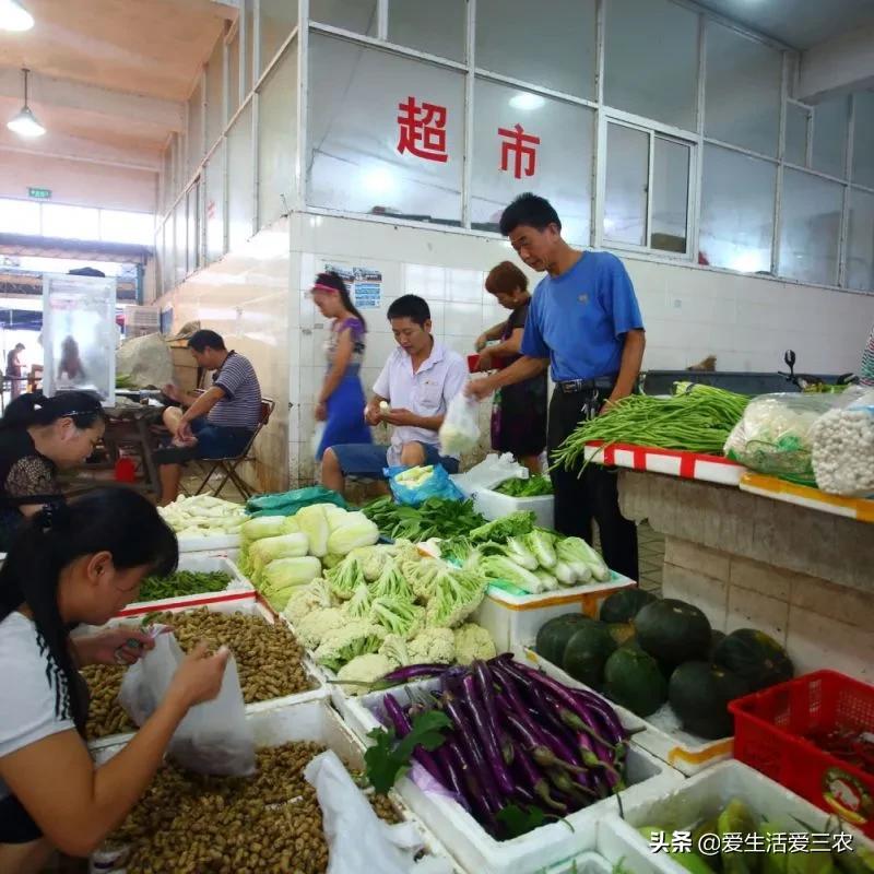 蔬菜批发生意进货技巧(想做蔬菜批发怎么找货源)