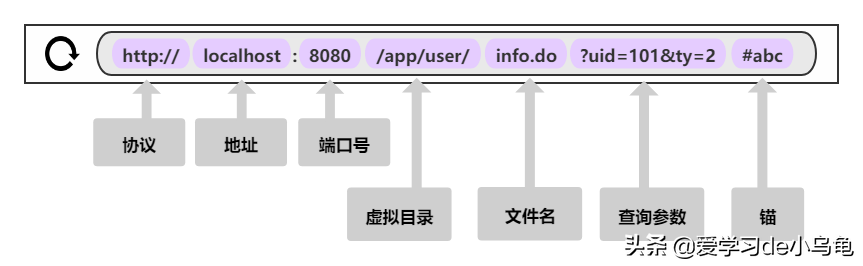 什么是url的地址(url地址在哪)