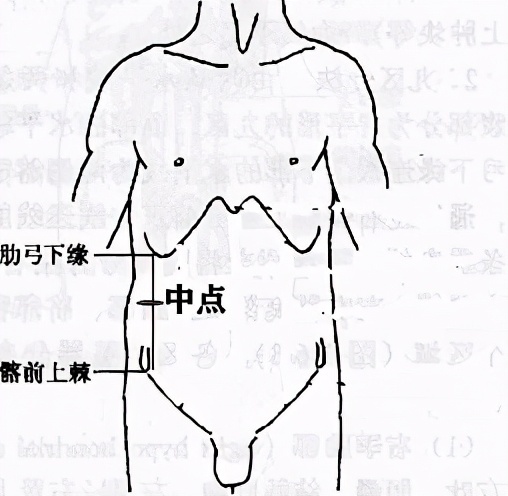 腰围是怎样量的(腰围是量肚脐还是最细的地方)