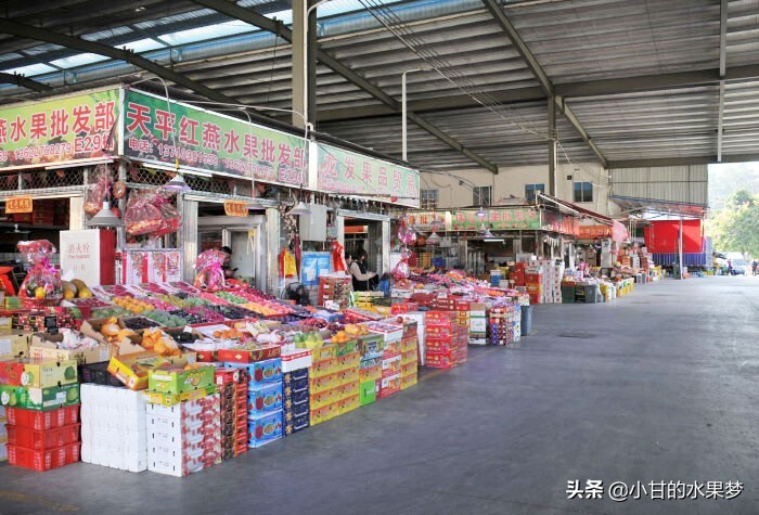 广州水果批发市场在哪里和各种水果价格