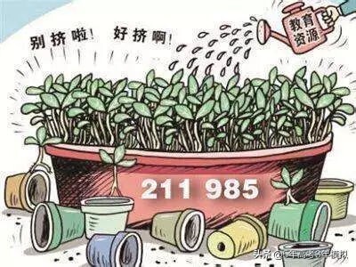 985和211的区别是什么_看完你就知道了