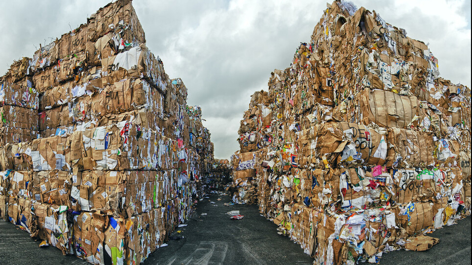 如何废品回收(废品回收创业项目)