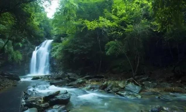 未来适合农村的项目(未来适合农村发展的项目有哪些?)