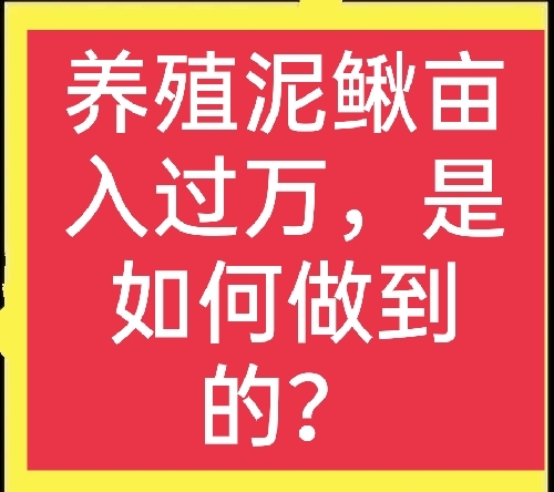 泥鳅养殖赚钱吗(泥鳅养殖业利润怎么样)
