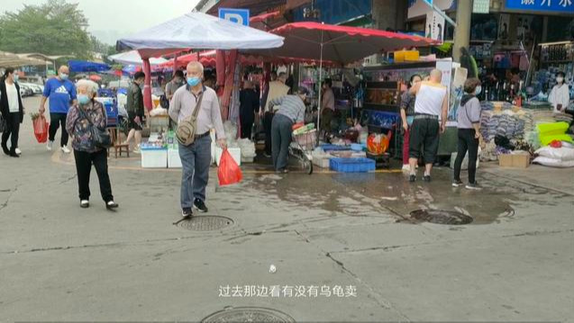 广州海水观赏鱼批发市场(广州最大的水族批发市场)