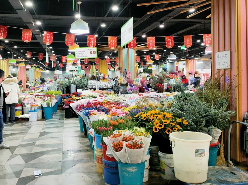 北京批发花卉哪里便宜(北京最大最便宜的花卉批发市场)