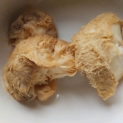 干猴头菇怎么吃__干猴头菇的做法