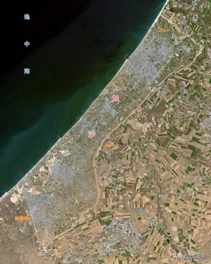 加沙是哪个国家的城市-加沙的位置及分布面积