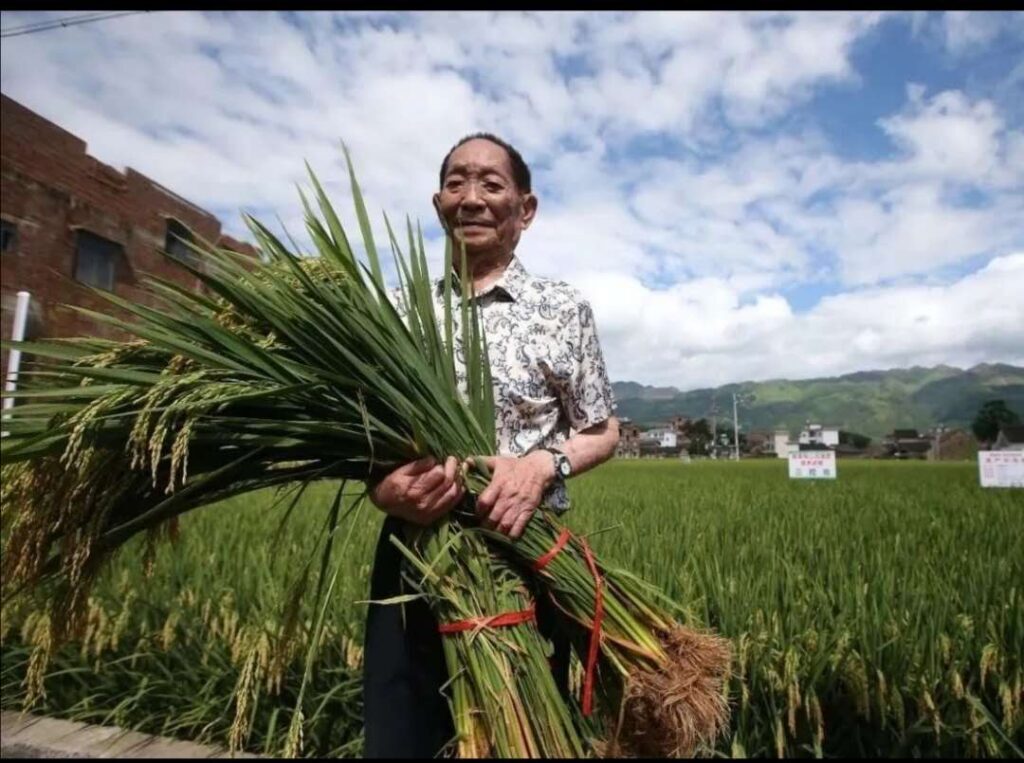 袁隆平哪里人_袁隆平简介