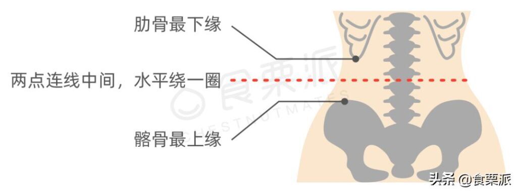 女生腰围67算细腰吗(女生腰围67算不算粗)