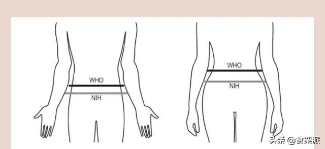 女生腰围67算细腰吗(女生腰围67算不算粗)