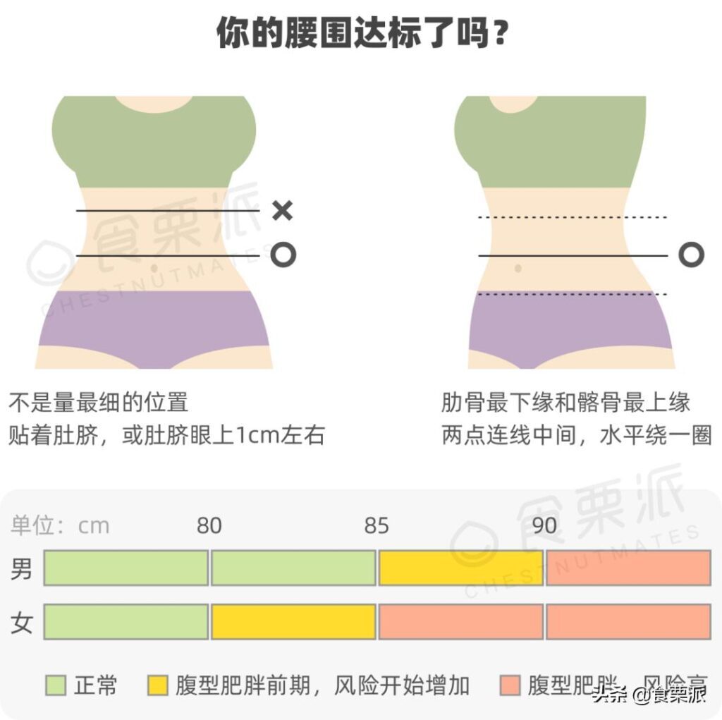 女生腰围67算细腰吗(女生腰围67算不算粗)