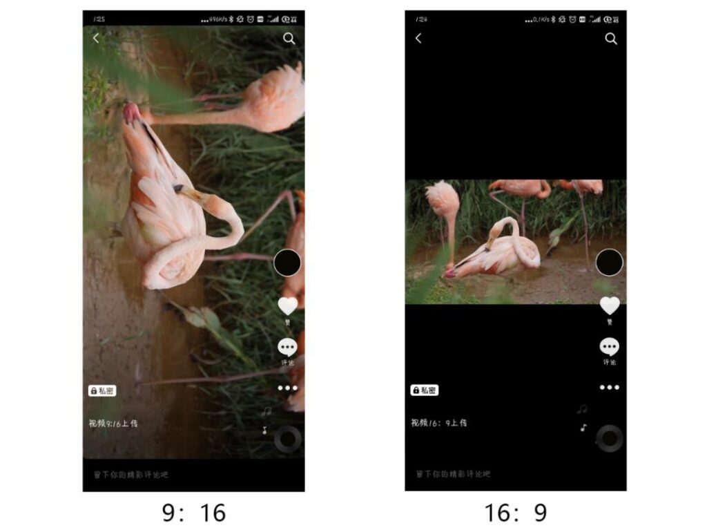抖音视频规格9比16吗(抖音的比例9比16)