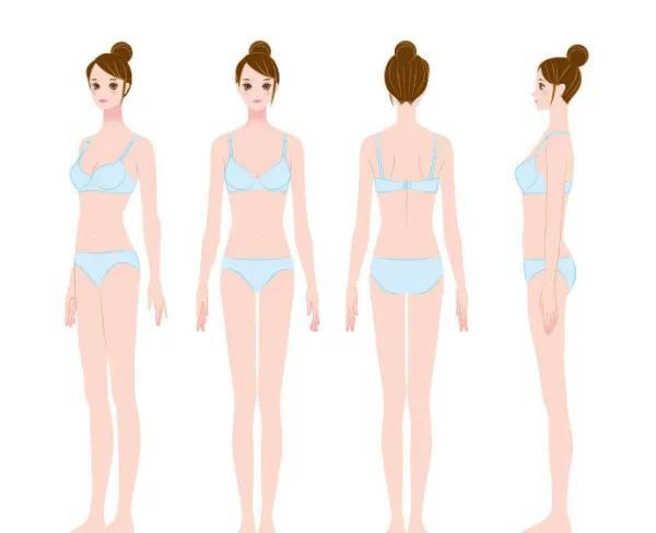女生体型对照表生有哪几种体型(女人的体型怎样才算好体型)