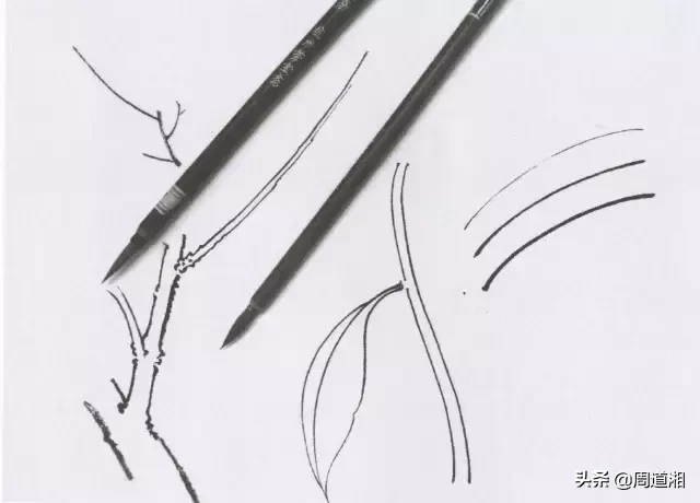 勾线笔是什么_勾线笔的种类及作用