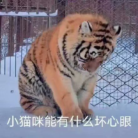 网上买的蚂蚁保险是不是真的(蚂蚁保险是真的假的可靠吗)