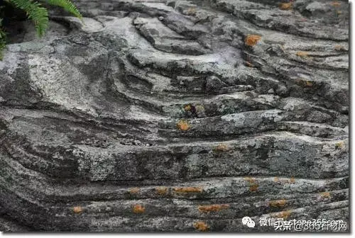 什么是花岗岩_花岗岩的形成和分类