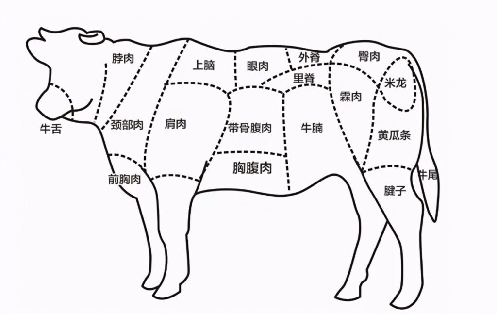 肥牛是牛的哪个部位_肥牛的部位和区别