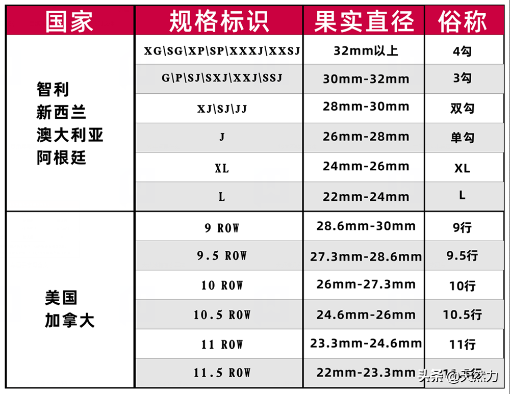 车厘子等级是怎样划分的_车厘子的等级划分和挑选