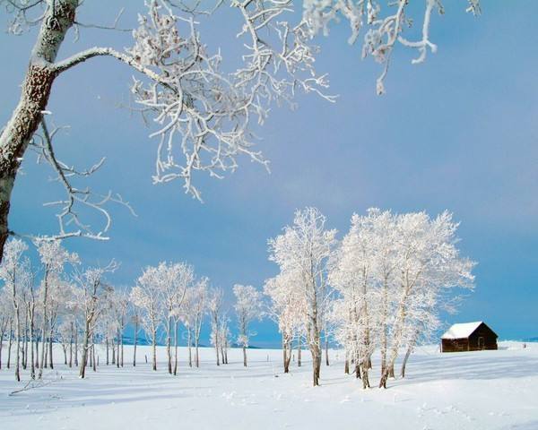 为什么说瑞雪兆丰年_瑞雪兆丰年的寓意