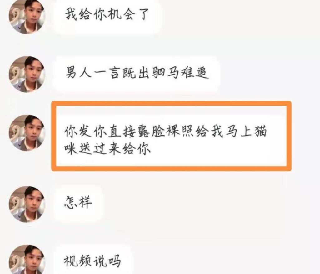 领养猫原主人有权要回吗(猫想被收养的表现)