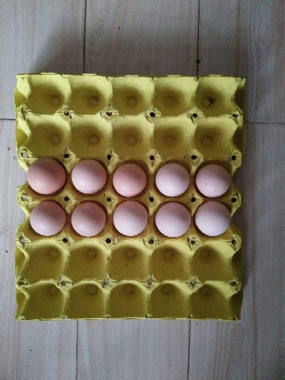 鸡蛋保质期是多久_鸡蛋的保质期限和保存方法