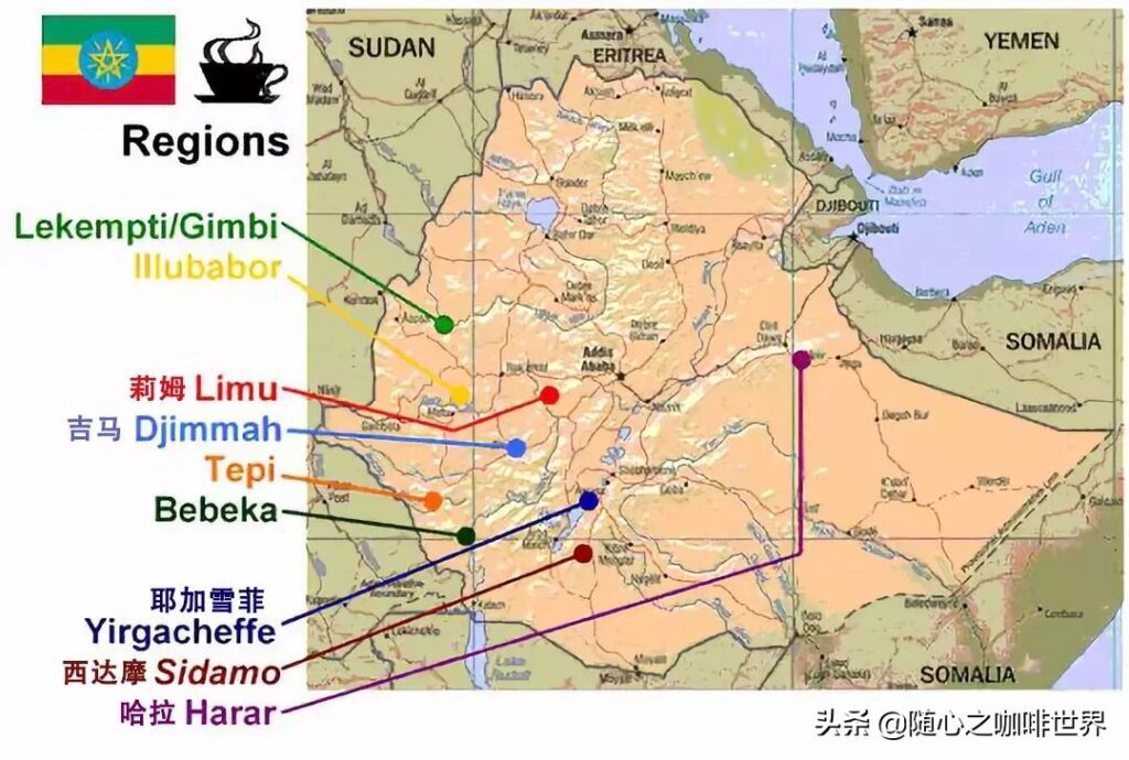 咖啡的故乡是哪里_咖啡的故乡和生产