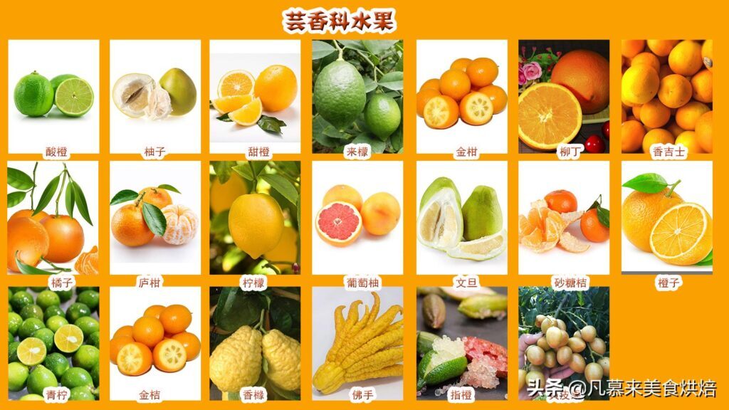 水果种类有哪些_水果种类大全介绍