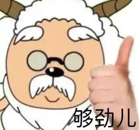 奇葩是什么意思_奇葩的定义和来历