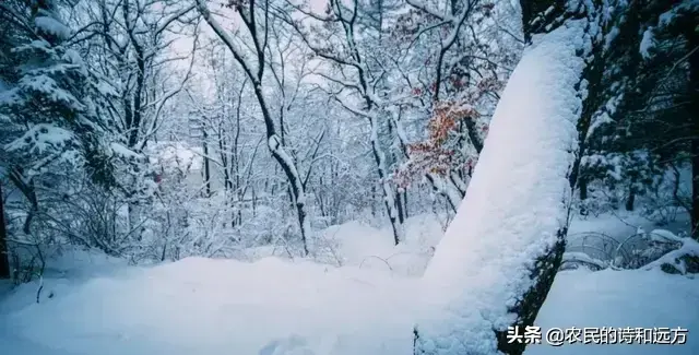 忽如一夜春风来是什么季节_忽如一夜春风来的季节介绍