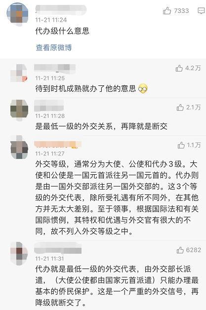 什么是代办级外交关系_外交代表的等级和分类